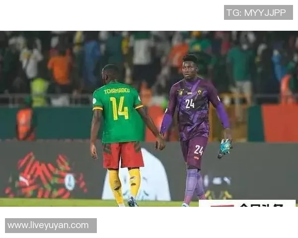 尼日利亚与埃及激战正酣比赛结果揭晓引发热议