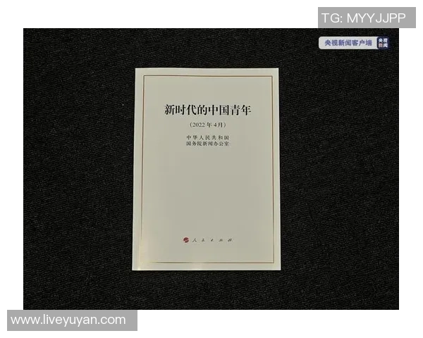 崔永熙:探索新时代青年文化与社会责任的多维视角 崔永熙:探索新时代青年文化与社会责任的多维视角